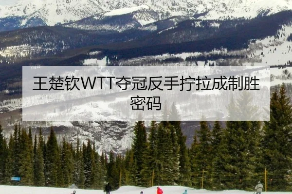 王楚钦WTT夺冠反手拧拉成制胜密码